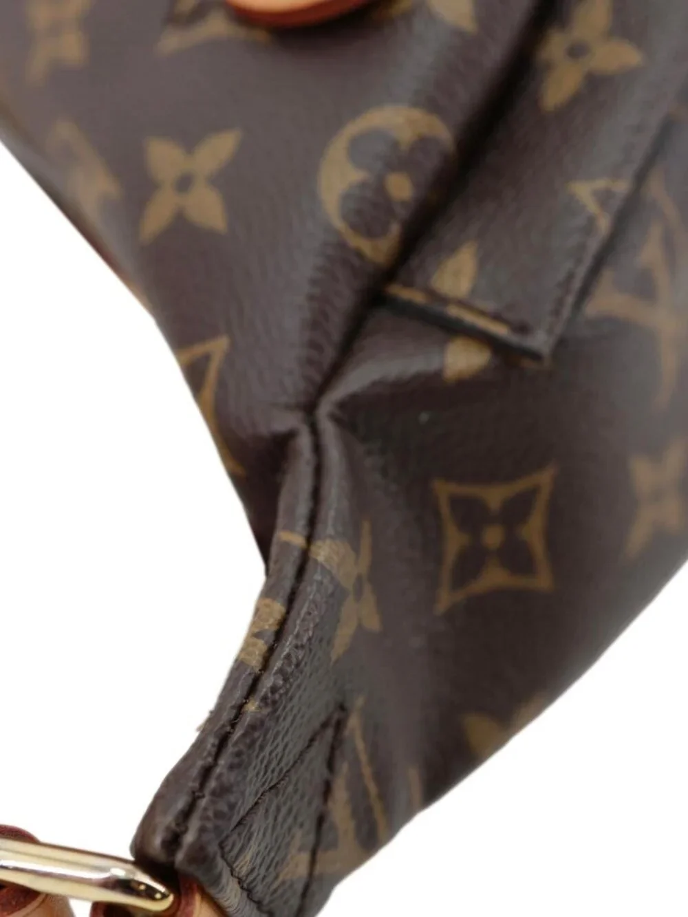Louis Vuitton Monogram Canvas Bumbag Brown